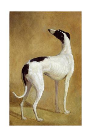 Nine Greyhounds in a Landscape Jacques-Laurent Agasse 14/"x11/" Art Print Dogs