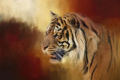 Tigers (Color Photography) Posters & Wall Art Prints