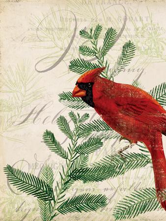 vintage cardinals memorabilia Art Collection