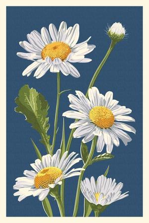 Daisy Posters & Wall Art Prints