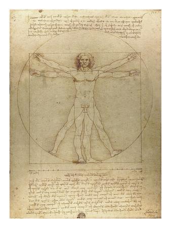 Man (da Vinci) Posters & Wall Art Prints | AllPosters.com