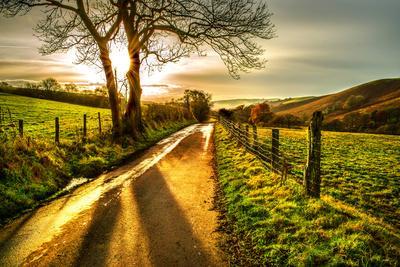 Country Road Photography Posters & Wall Art Prints