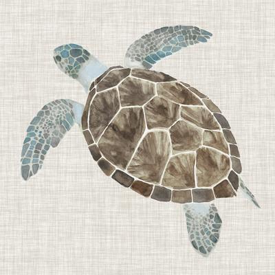 Cute Baby Sea Turtle Turtles Poster 60X90cm180gsm Print #3069 A1