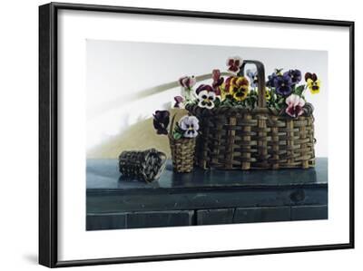 Z Is For Zinnias ART PRINT Poster 32x21 PAULINE CAMPANELLI