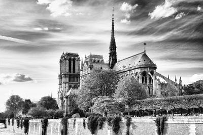 Notre Dame Cathedral Posters & Wall Art Prints