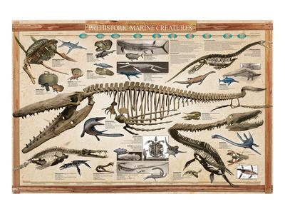 Other Prehistoric Animals Posters & Wall Art Prints Other Prehistoric Animals Posters & Wall Art Prints