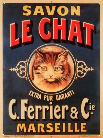 chat brive la gaillarde