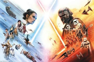 wang Overleving kwaliteit Star Wars Posters, Movie Prints & Wall Art | AllPosters.com