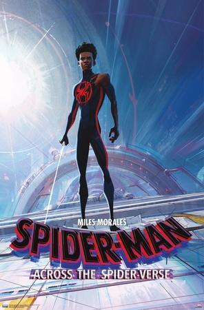 Spiderman Into the Spider-Verse Poster - Affiche de film