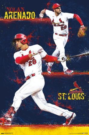 Overview of St.Louis Cardinals Baseball Field Wall Mural