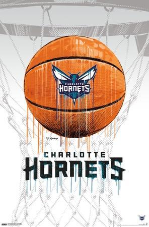 Lamelo Ball Poster Charlotte Hornets Poster Canvas Print 