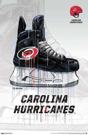 Carolina Hurricanes Logo Wall Poster - Build Your Own with Bricks