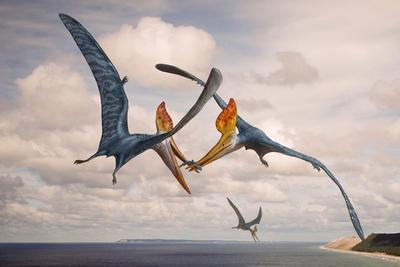 Pterodactyl Poster