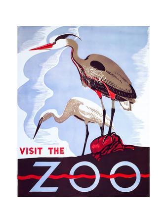 Zoos (Vintage Art) Posters Wall Art Prints | AllPosters.com