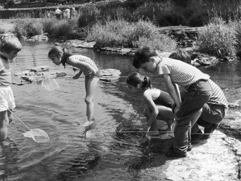 group-of-children-fishing-with-nets-in-a-country-stream.jpg