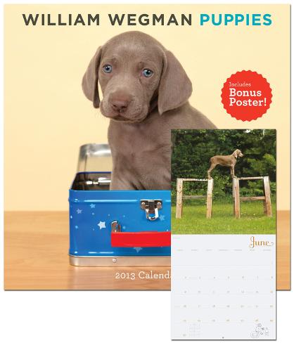 William Wegman Puppies 2013 Wall Calendar William Wegman