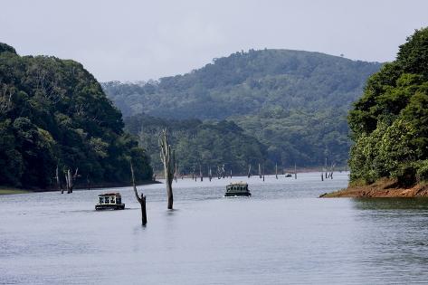 Go On An Awesome Adventure Trip To Thekkady This Holiday