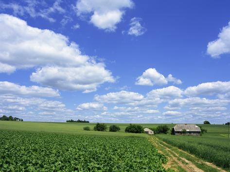 Countryside Food And Farms