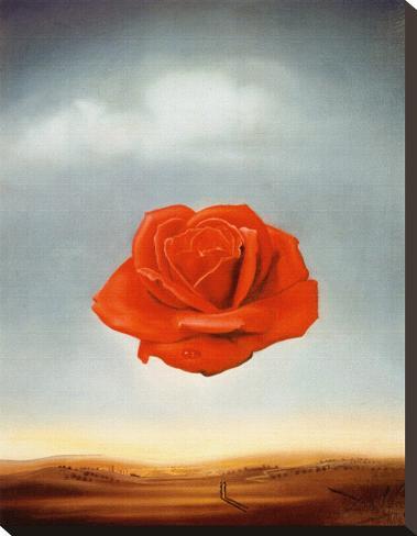 https://imgc.allpostersimages.com/images/P-488-488-90/53/5317/EWBYG00Z/posters/salvador-dali-rose-meditative-c-1958.jpg