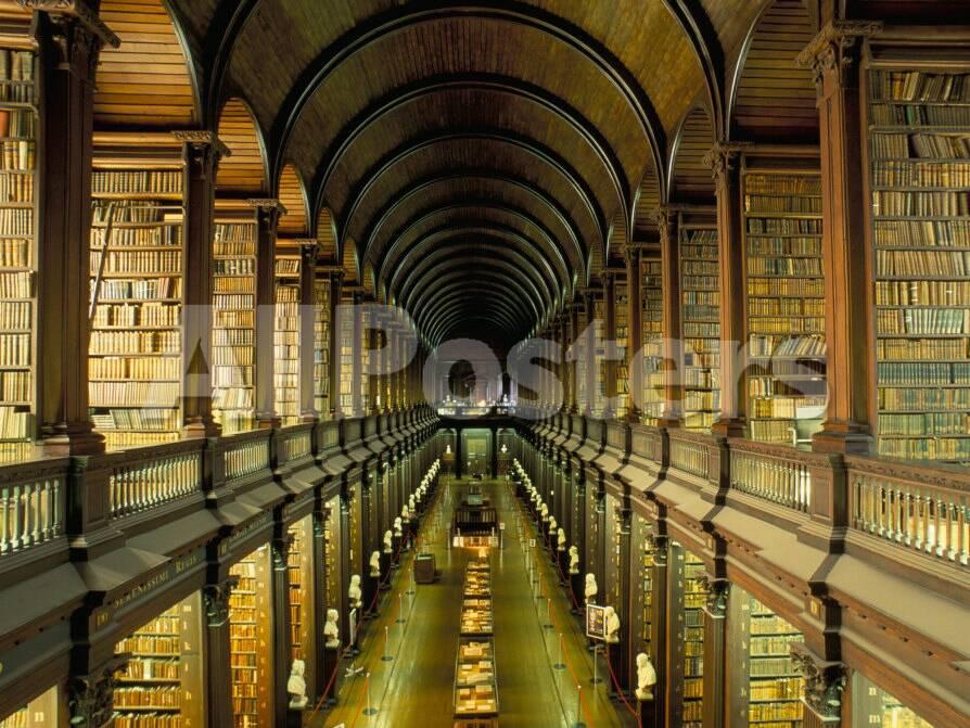 Gallery Of The Old Library Trinity College Dublin County Dublin Eire Ireland Photographic Print Bruno Barbier Allposters Com Gallery Of The Old Library Trinity College Dublin County Dublin Eire Ireland Photographic Print Bruno Barbier Allposters Com