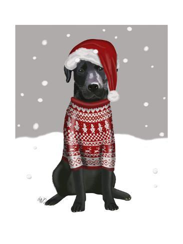 labrador jumper