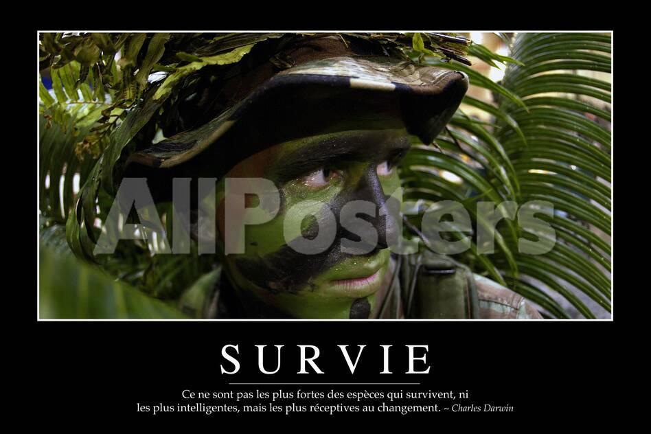 Survie Citation Et Affiche D Inspiration Et Motivation Photographic Print Allposters Com