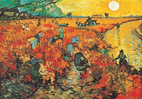 van gogh vineyard