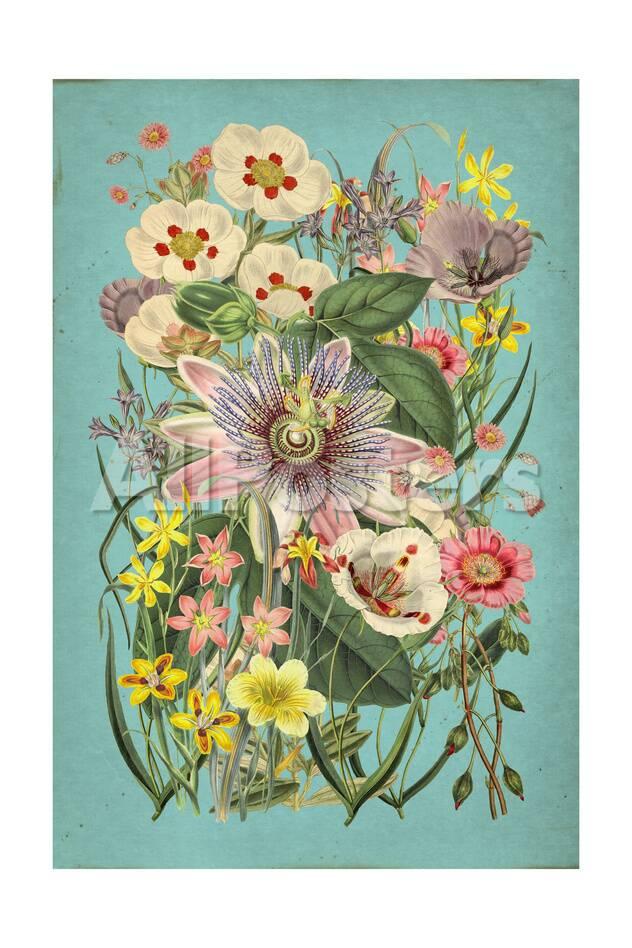 Vintage Flowers On Teal Posters Allposters Com