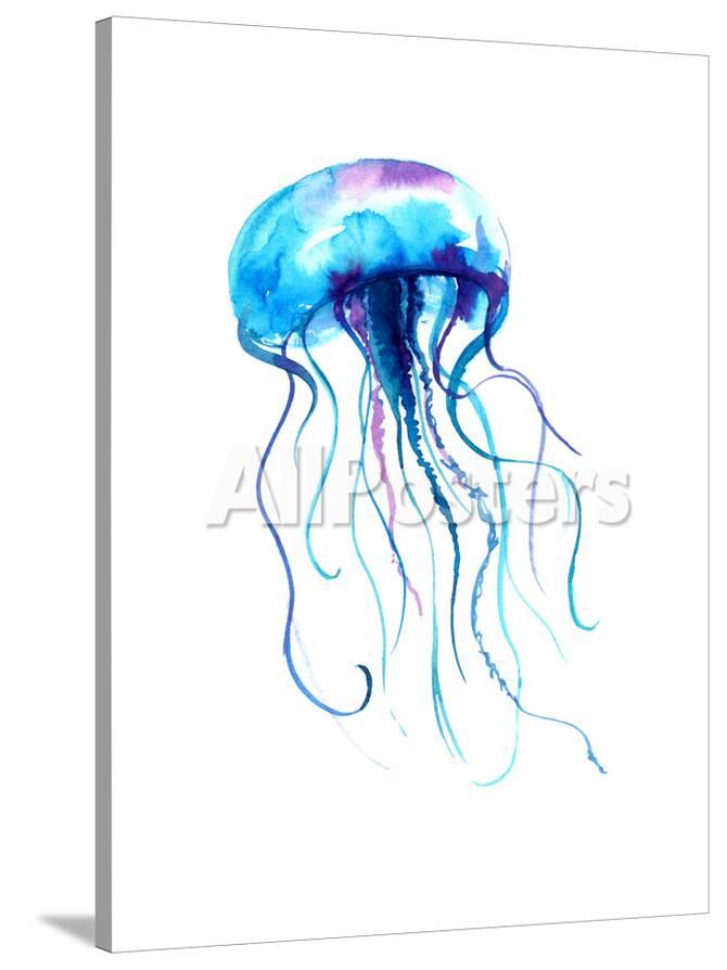 Jellyfish Watercolor Illustration Medusa Painting Isolated On