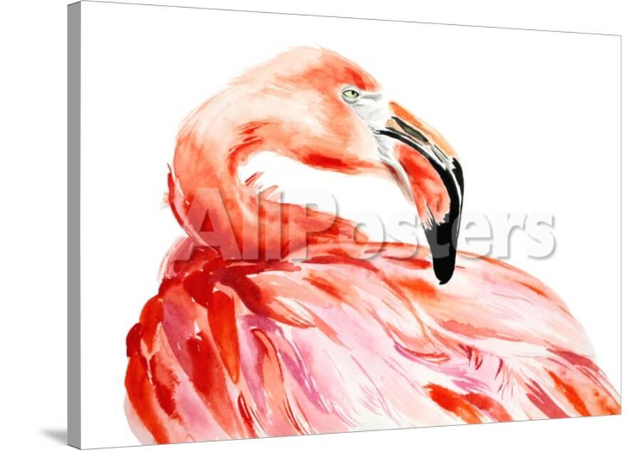 Pink Flamingo Bird Profile Portrait Amazing Beautiful Animal Art