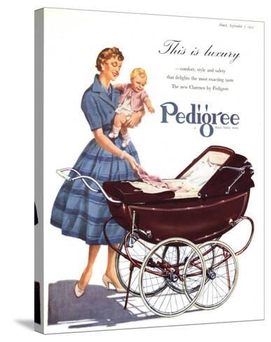 pedigree baby carriage