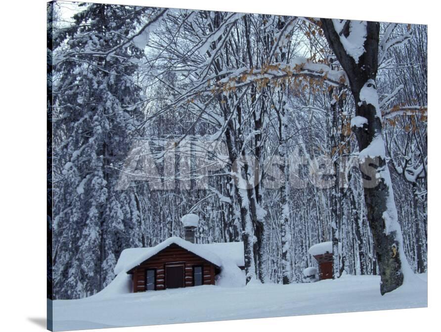Log Cabin In Snowy Woods Chippewa County Michigan Usa