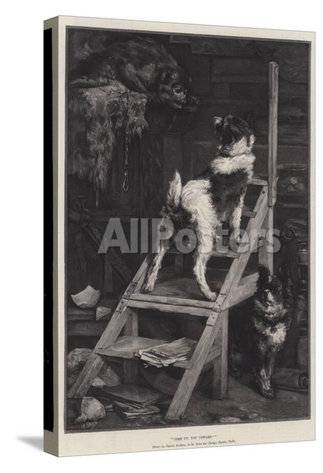 Come Up You Coward Giclee Print At Allposters Com