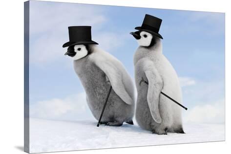 cheap top hats and canes