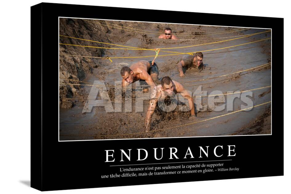 Endurance Citation Et Affiche D Inspiration Et Motivation Photographic Print Allposters Com