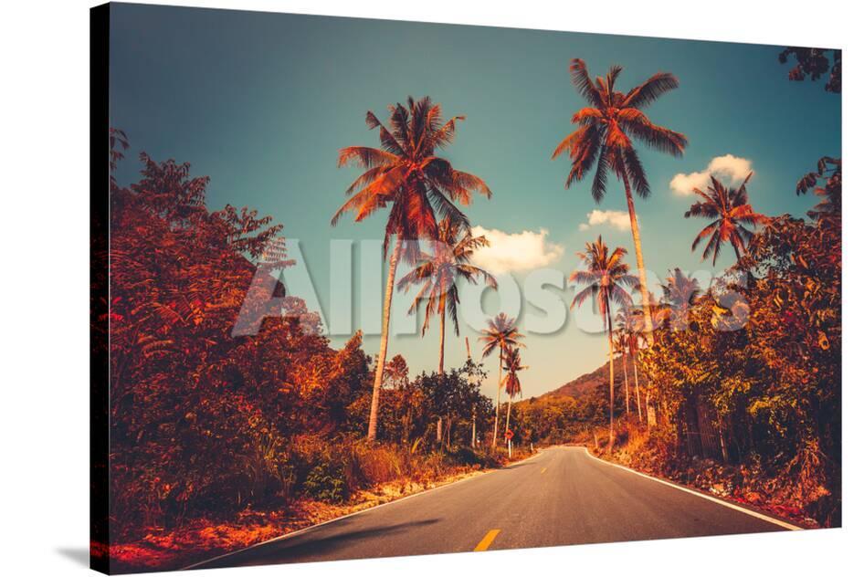 Colorful Sunset Landscape With Empty Road And Palm Trees In Jungle Against Clear Blue Sky Vintage