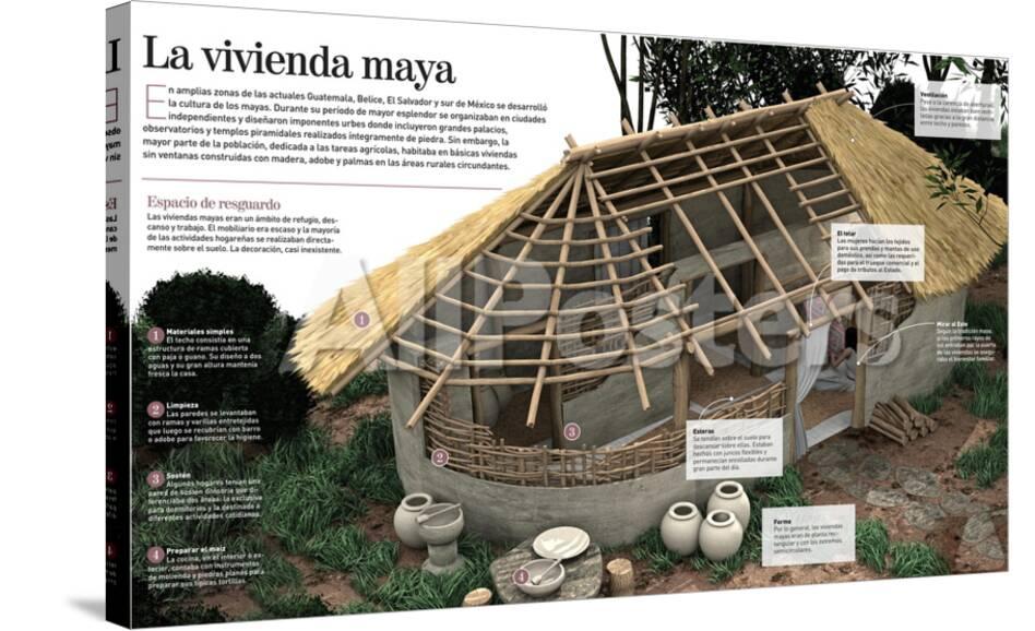 Infografia Sobre La Vivienda Maya Construida Con Madera Y Adobe