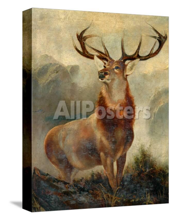 Stag At Bay Giclee Print James Ford Allposters Com