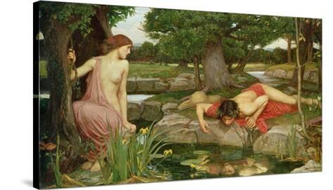 The Siren Waterhouse fine art giclee print poster various sizes