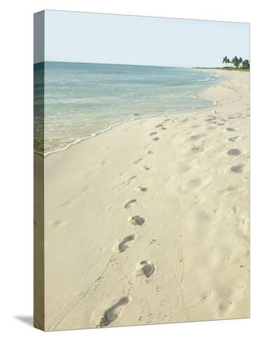 Footprints In Sand At Grace Bay Beach Providenciales Turks And Footprints In Sand At Grace Bay Beach Providenciales Turks And Caicos Islands West Ins Photographic Print By Kim Walker Allposters
