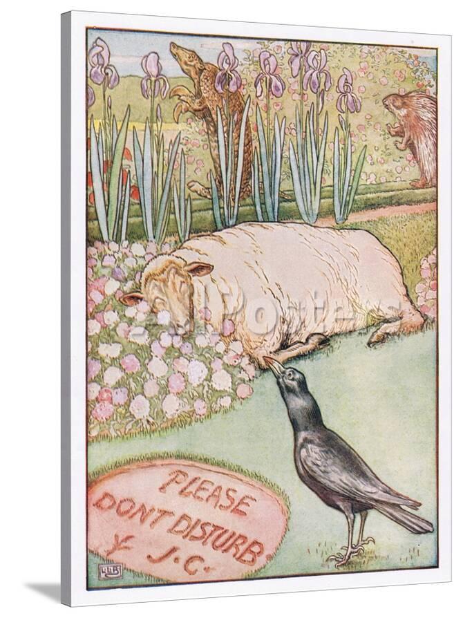 'And the Sheep Went to Sleep, Illustration from 'Johnny Crow's Party ...