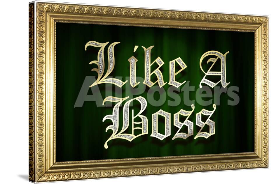 Like A Boss Faux Frame Humor Poster Posters At Allposters Com