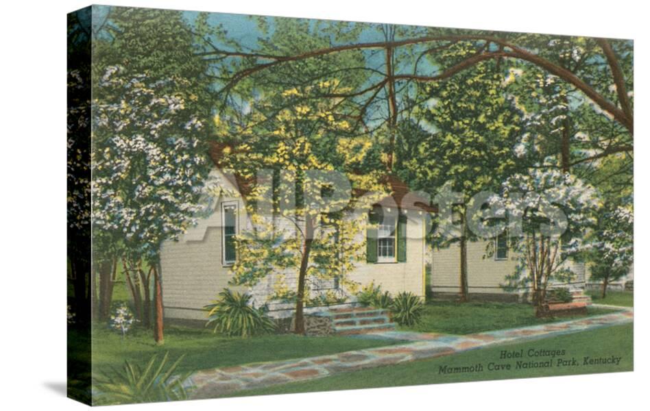 Mammoth Cave Hotel Cottages Prints At Allposters Com