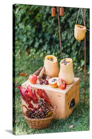 Garden Diy Self Made Bird Feeder Pumpkins Apples Box