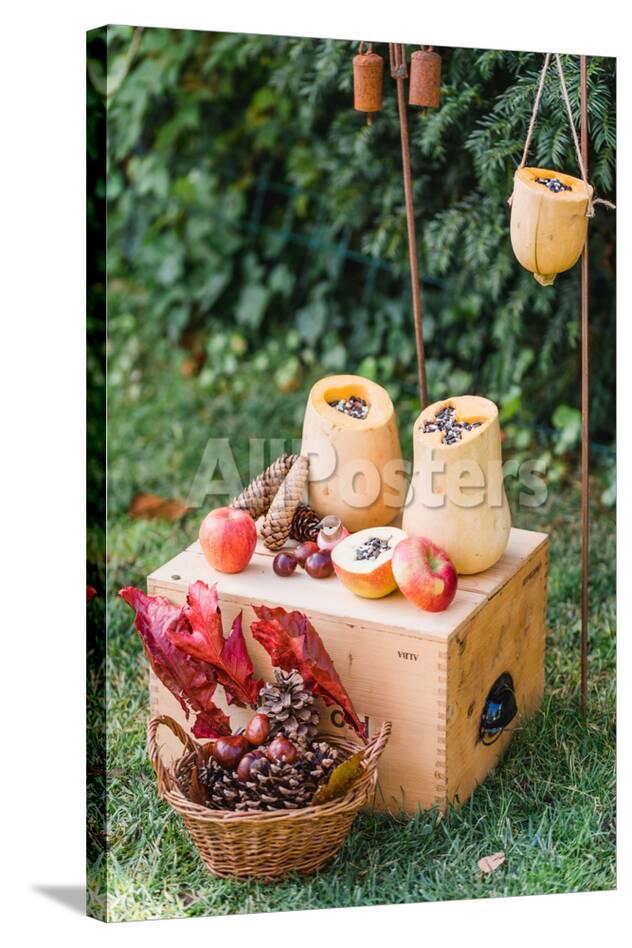 Garden Diy Self Made Bird Feeder Pumpkins Apples Box
