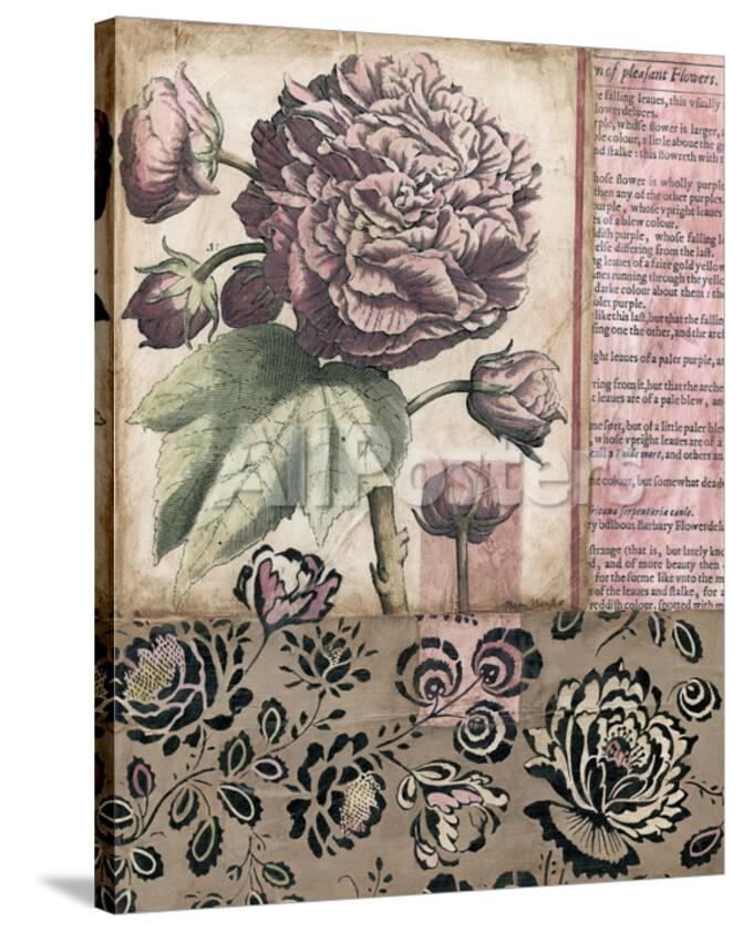 Cottage Rose I Giclee Print Megan Meagher Allposters Com