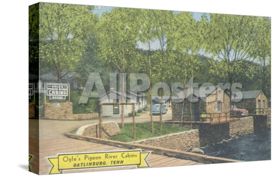 Ogle S Pigeon River Cabins Gatlinburg Tennessee C 1955 Giclee