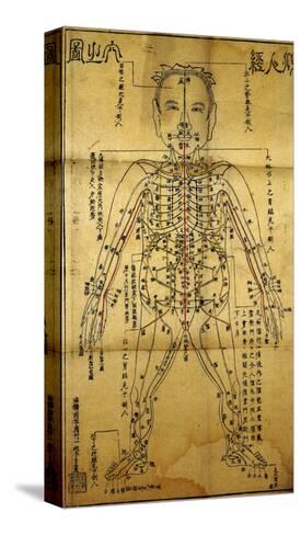 Acupuncture Chart Poster