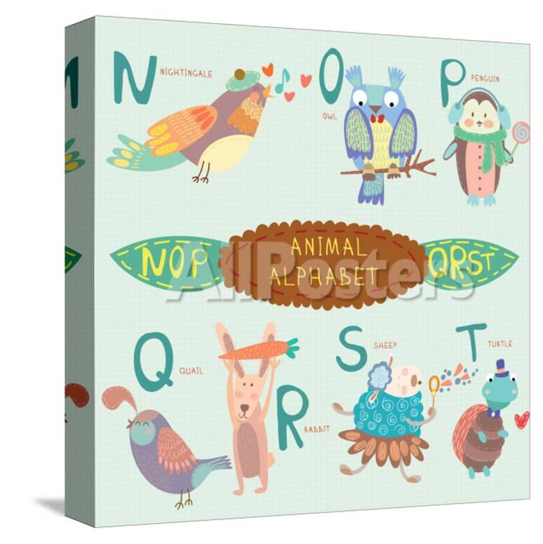 Very Cute Alphabet N O P Q R S T Letters Nightingale Owl Penguin Quail Rabbit Sheep T Posters Ovocheva Allposters Com