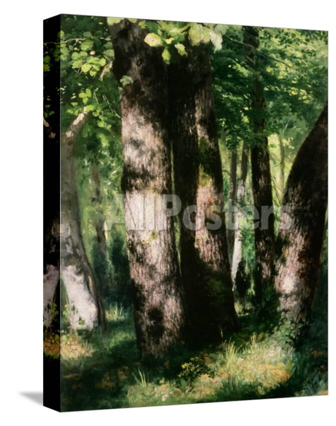 In The Forest Of Fontainebleau Giclee Print Pierre Auguste Renoir Allposters Com